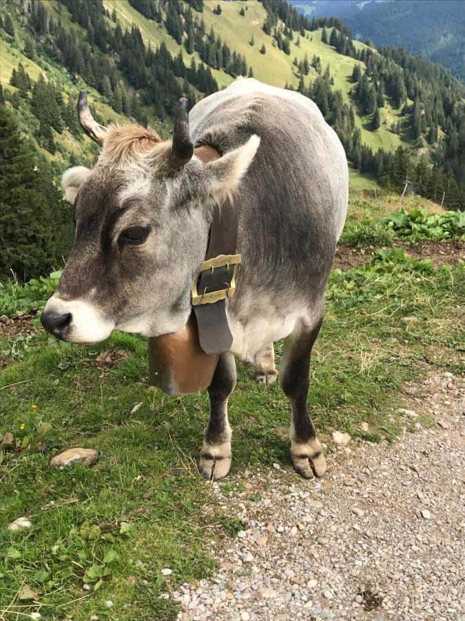 Kraehenberg Am Rande Der Wildnis Apartment Sibratsgfäll Exterior foto