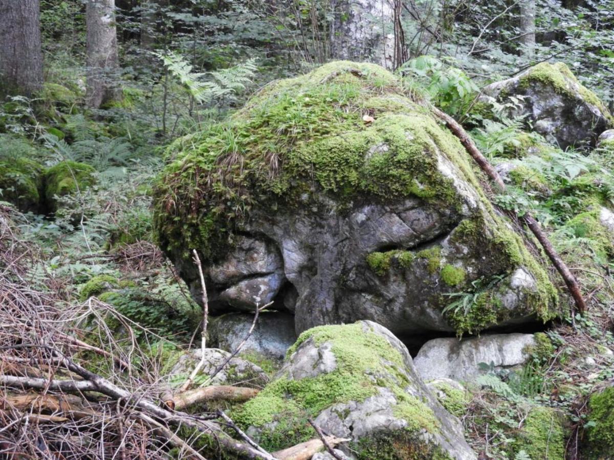 Kraehenberg Am Rande Der Wildnis Apartment Sibratsgfäll Exterior foto